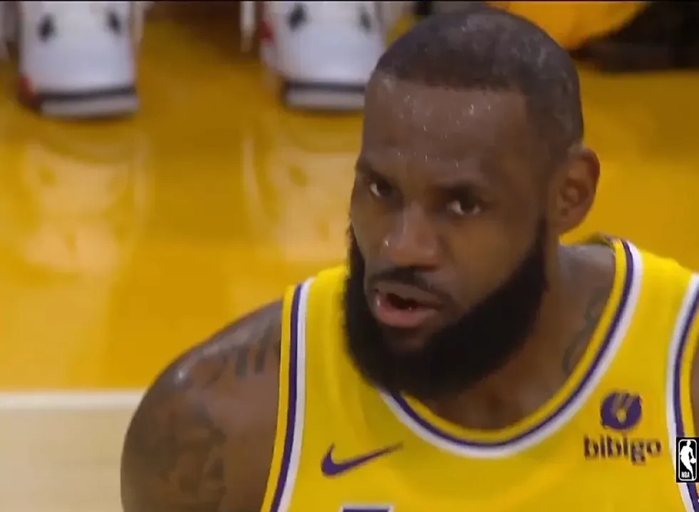 PANDA-包含詹姆斯迎来二十赛季高光表现，快船球迷沸腾！的词条